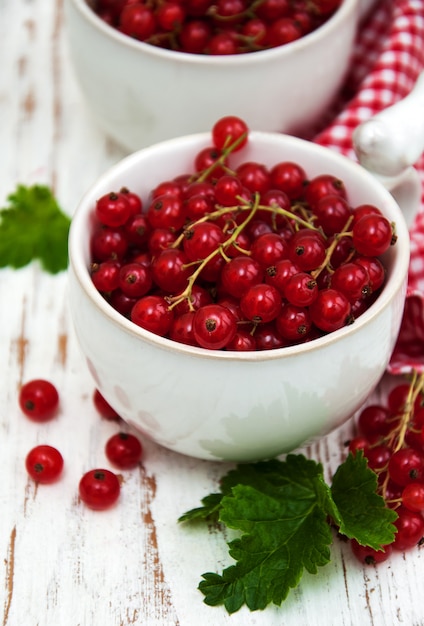 Fresh red currant