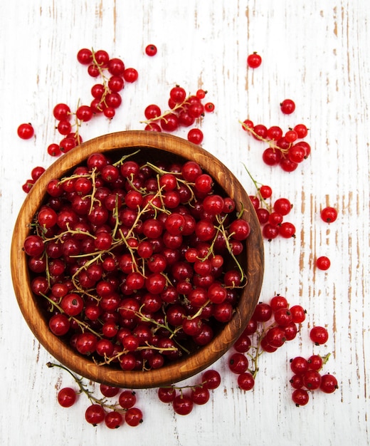 Fresh red currant