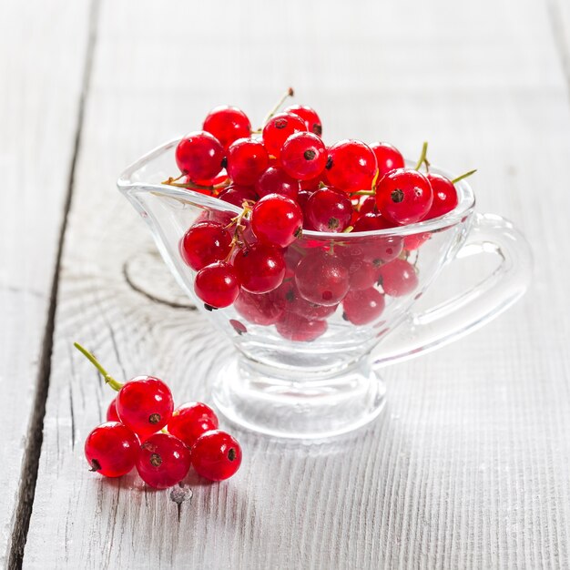 Fresh red currant