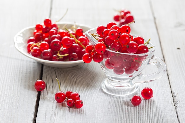 Fresh red currant