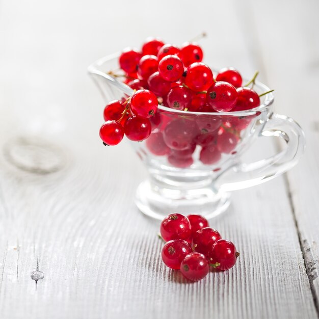 Fresh red currant