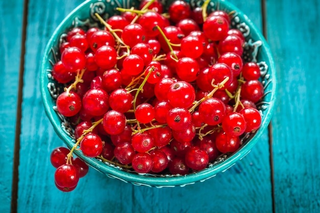 Fresh red currant