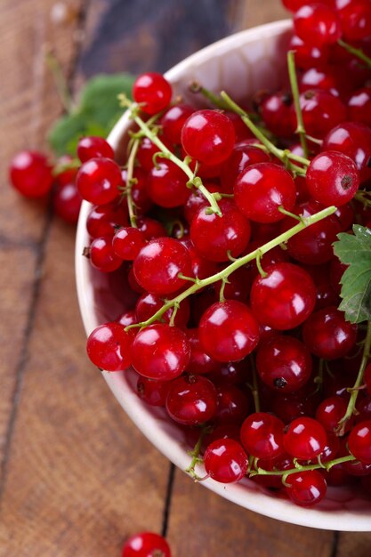 Fresh red currants in bowl close up