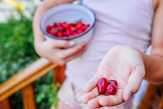 Foto bacche di corniolo rosso fresco nelle mani di una ragazza.