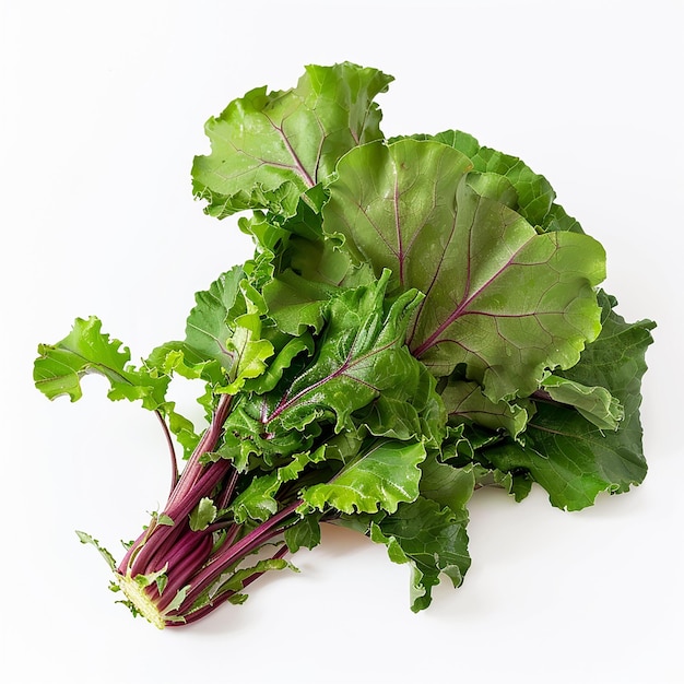 Photo fresh red frill mustard greens on white background