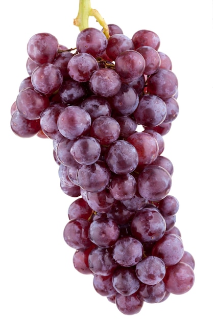 Fresh red grape on white background