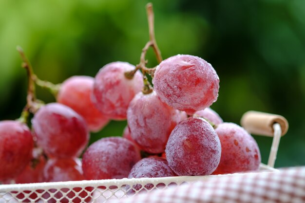 Fresh red grapes