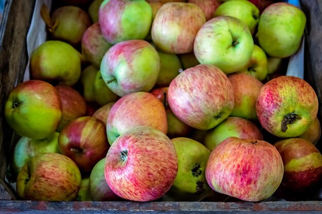 Fresh red and green apples for sale