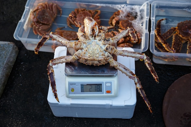 Photo fresh red king crab on a scale in the market.