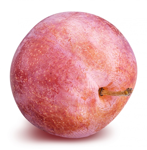 Fresh red plum isolated with clipping path