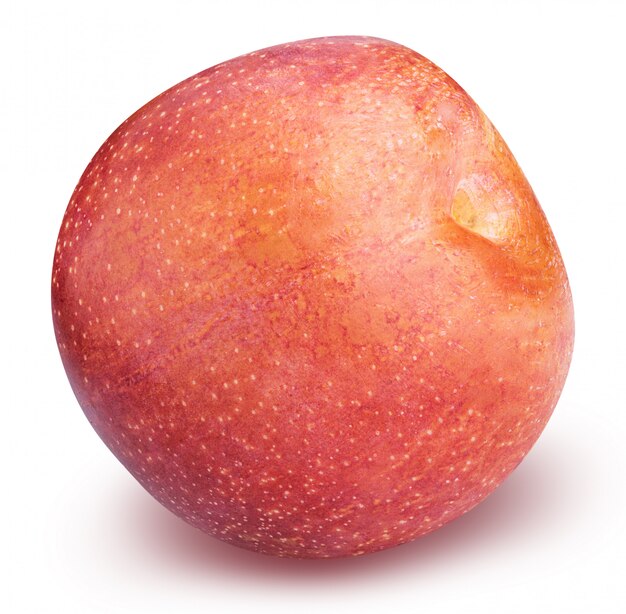 Fresh red plum isolated with clipping path