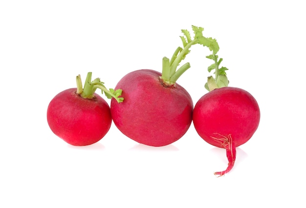 Fresh red radish isolated