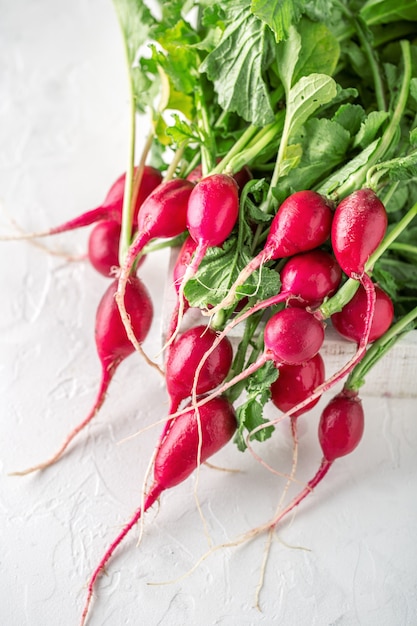 Fresh red radish Summer harvested red radish