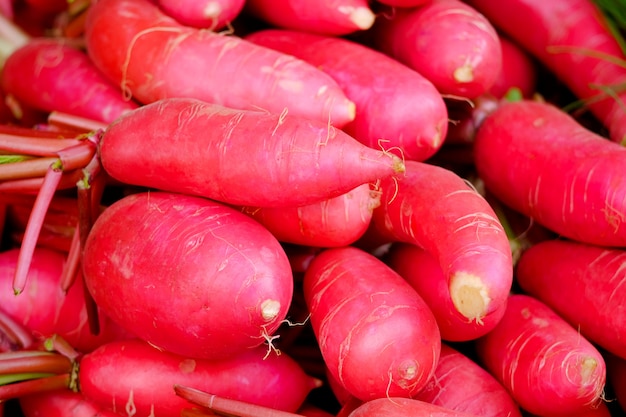 Fresh red radish