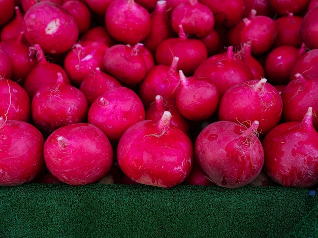 Fresh red radishes in the market