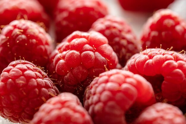 Fresh red raspberries