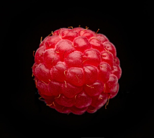 fresh red raspberry macro isolated on black background