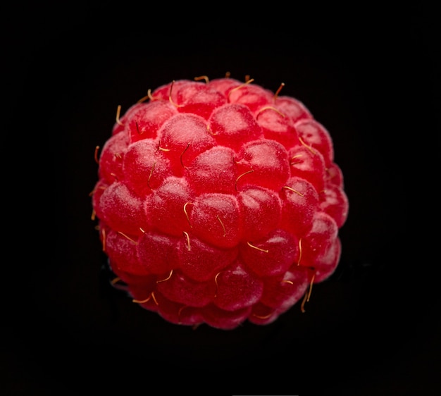 Fresh red raspberry macro isolated on black background