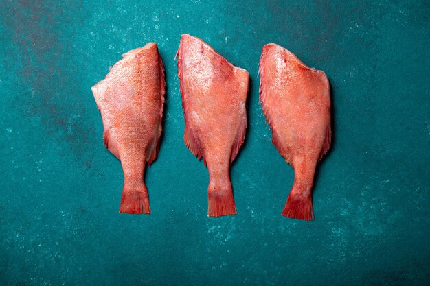 Fresh red raw seabass on turquoise background