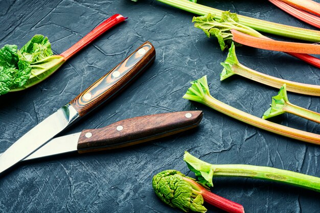 Fresh red rhubarb stalks with green leaves.Fresh rhubarb stem.