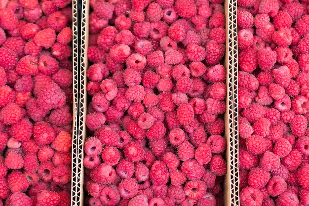 Photo fresh red ripe raspberries in boxes abstract fruit colorful pattern texture background