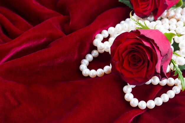 緋色のベルベットの背景に真珠と新鮮な赤いバラ