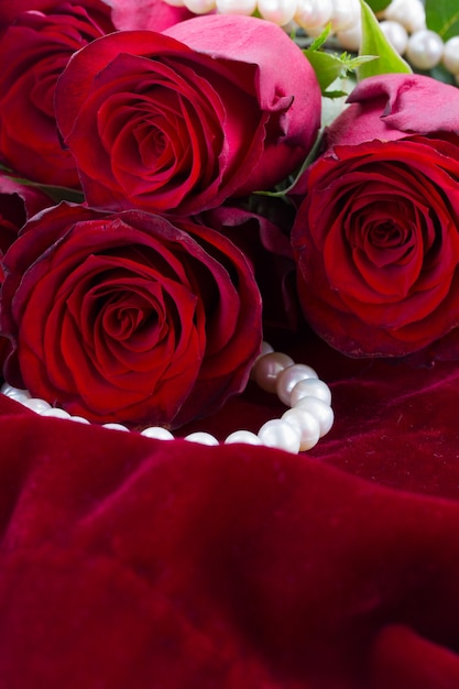 Fresh red roses on scarlet velvet background