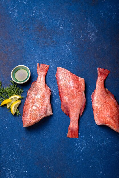 Fresh red sea bass on blue background top view copy space