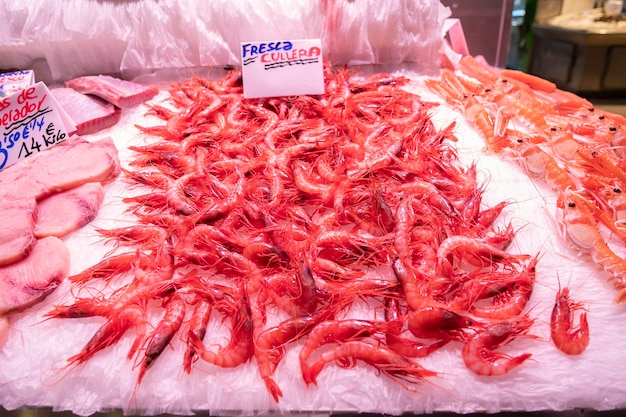 Fresh red shrimp