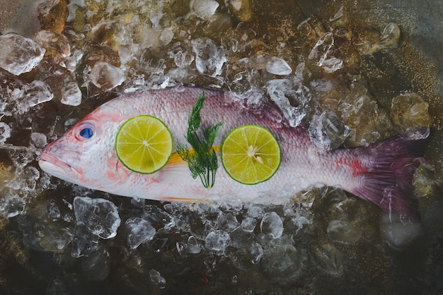 Fresh red snapper sea fish.