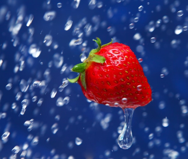 Fresh red strawberry under drops of water at blue background