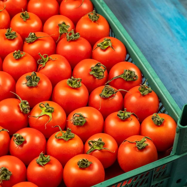 Свежие красные помидоры крупным планом
