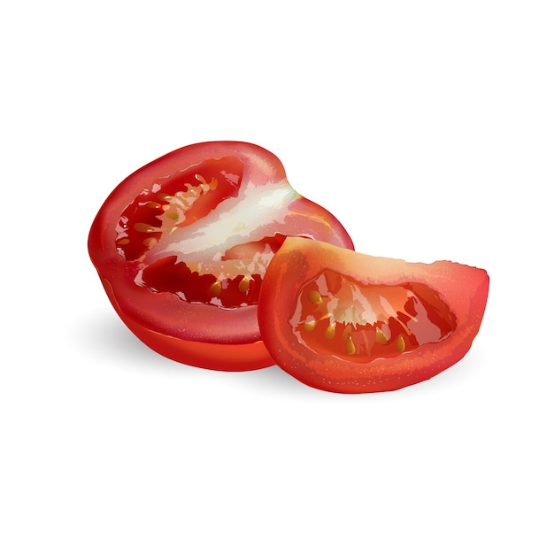 신선한 빨간 토마토-건강 식품 디자인. 현실적인 스타일 그림.
