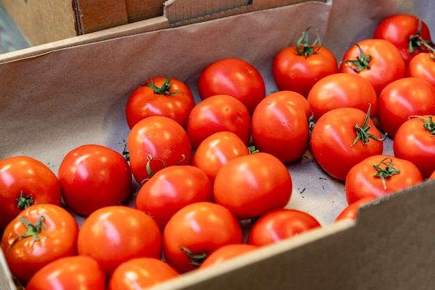 Foto scatola di carta di pomodori rossi freschi