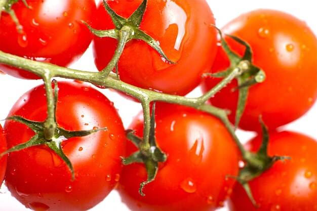 Fresh Red Tomatoes