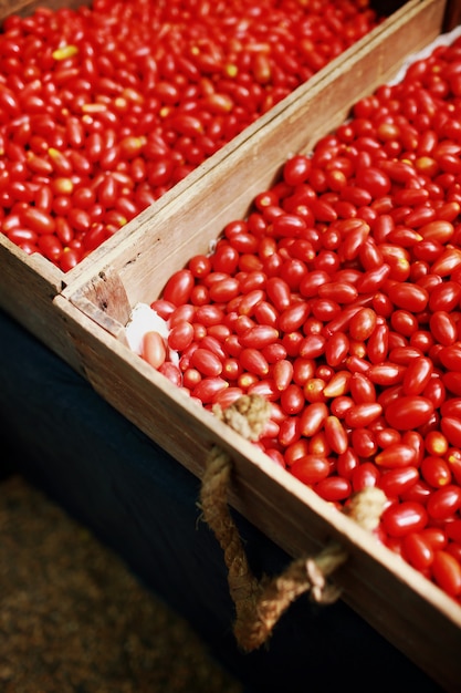 Fresh red tomatoes