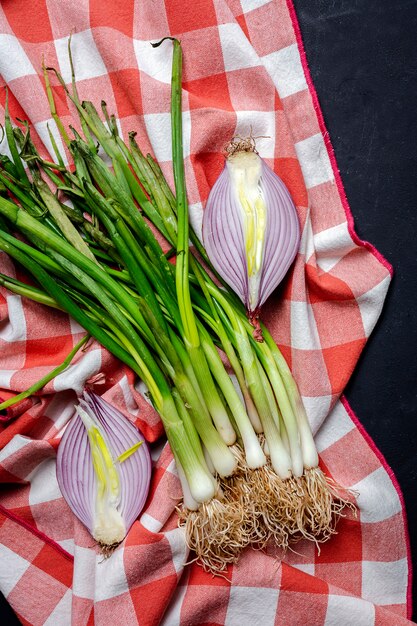 Fresh red and white onions on dark background