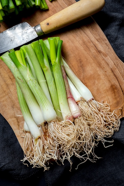 Fresh red and white onions on dark surface