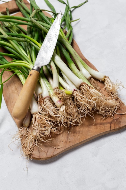 Fresh red and white onions on white background