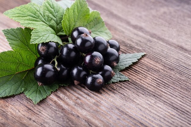 Photo fresh ripe black currant with original leaves