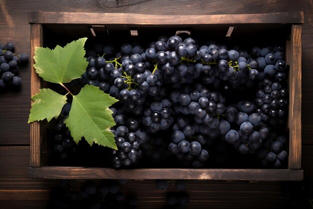 Fresh ripe Black grapess in wooden crate