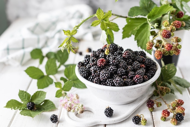 Fresh ripe blackberry in a ceramic cup.