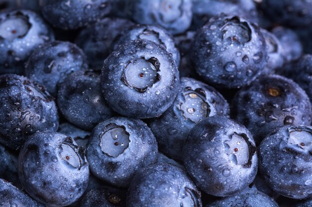 Fresh ripe blueberries with drops of dew Berry background Macro photo