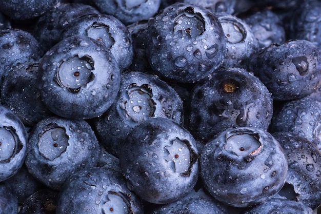 Fresh ripe blueberries with drops of dew Berry background Macro photo