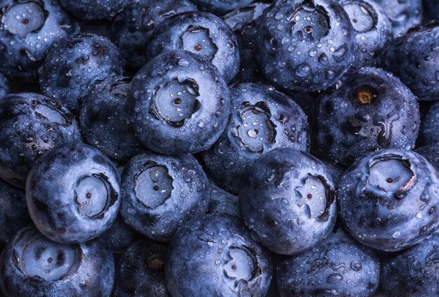 Fresh ripe blueberries with drops of dew Berry background Macro photo