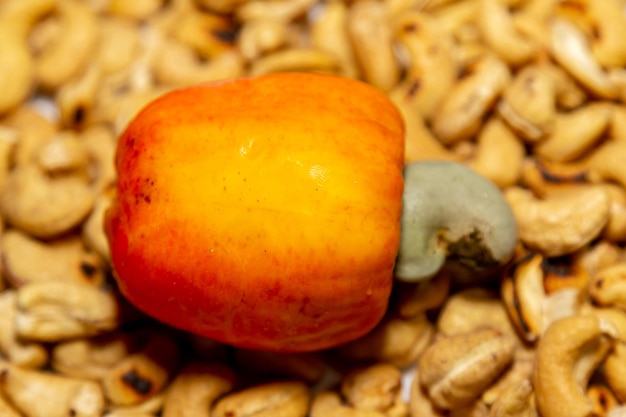 Fresh ripe cashew fruits isolated on white background Cashew nut Anacardium occidentale