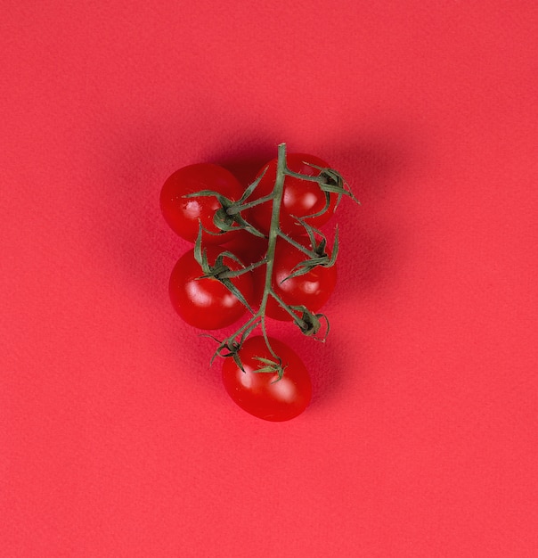 Pomodori ciliegia maturi freschi su un ramo su una superficie rossa, monocromatica.