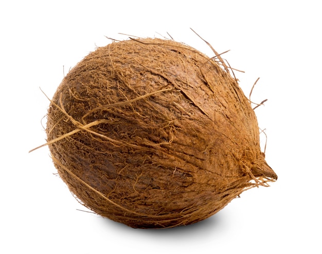 Fresh ripe coconut nut isolated