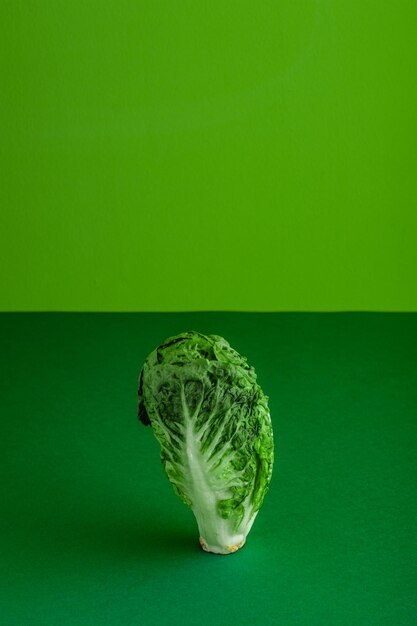 Photo fresh ripe cos lettuce on green color background