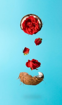 Cocco fresco maturo e incrinato con fiori di rosa rossa concetto di estate tropicale concetto di levitazione alimentare